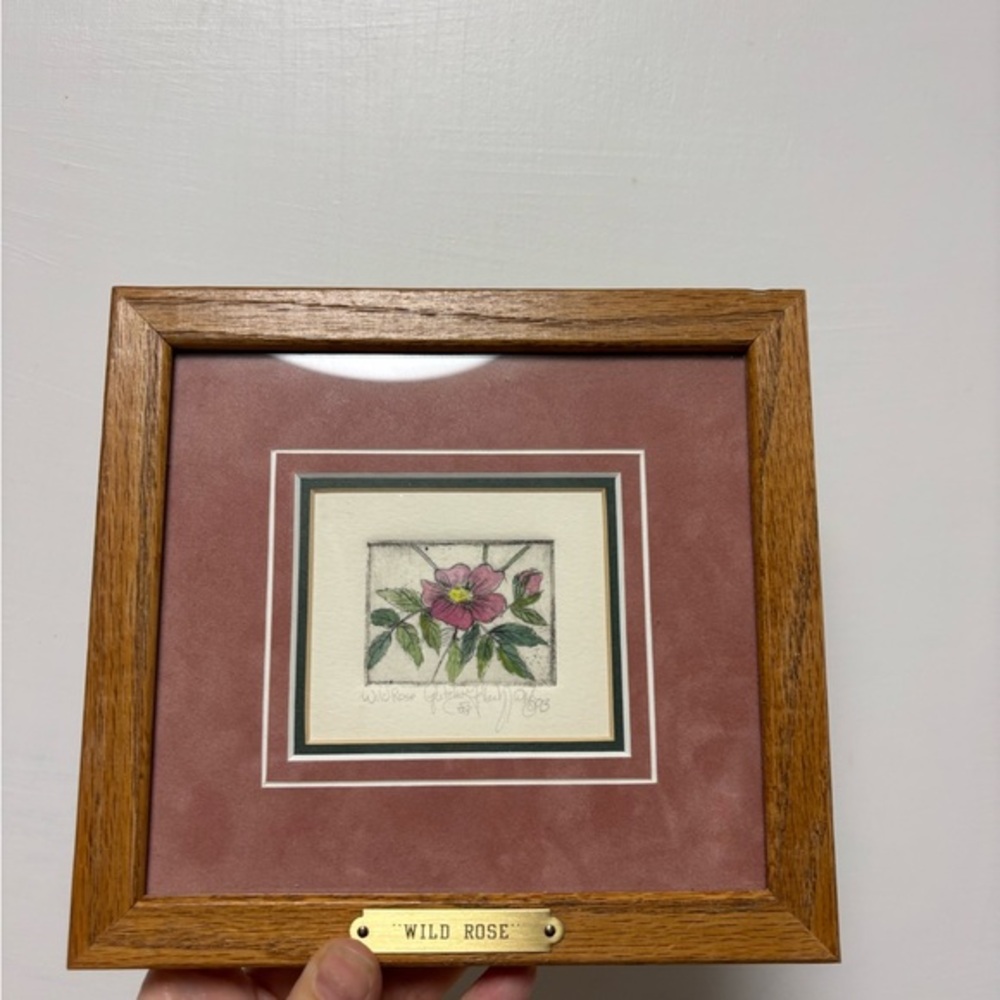 Framed Wild Rose drawing with Wooden Frame